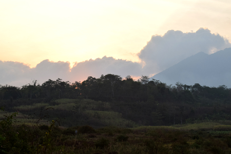Beautiful landscape with a tree branch in Batu, Malang, Indonesia