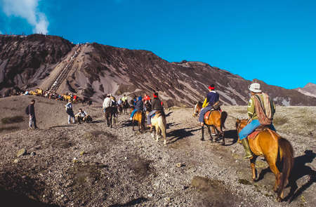 A seller of transportation services with horses in mountain bromo tourist area, East Java, Indonesia on January 27, 2014のeditorial素材