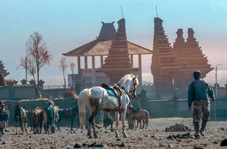 A seller of transportation services with horses in mountain bromo tourist area, East Java, Indonesia on January 27, 2014のeditorial素材