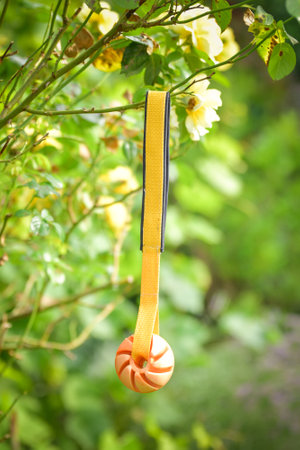 vanilla yellow ball toy for dog. soft toy made of fleece suitable for every dog and catの写真素材