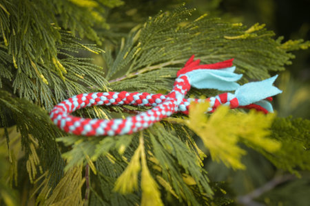 Soft fluffy fleece toys for dogs. soft toy made of fleece suitable for every dog and cat