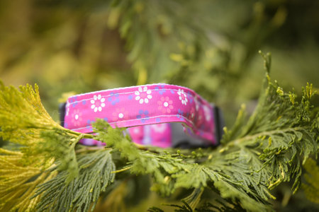 beautiful stylish collar for each dog. Everyone looks great with it!