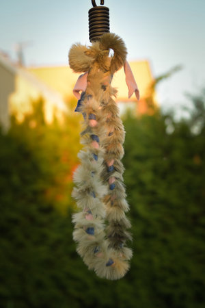 Soft fluffy fleece toys for dogs. soft toy made of fleece suitable for every dog and catの写真素材