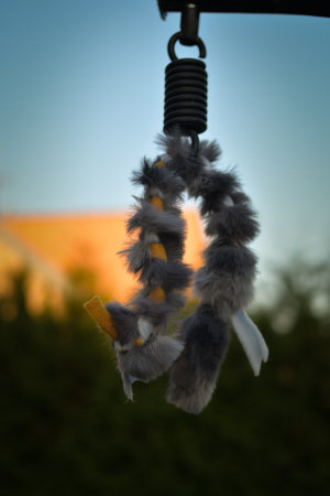 Soft fluffy fleece toys for dogs. soft toy made of fleece suitable for every dog and catの写真素材