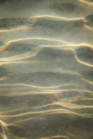 translucent water in the sea. colorful fish and sunshine reflection