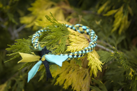 Soft fluffy fleece toys for dogs. soft toy made of fleece suitable for every dog and catの写真素材