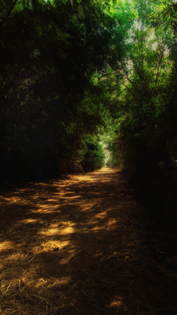 a majestic road in countryside egyptの写真素材