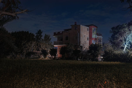 Night view of a field with trees and houses in the background.の写真素材