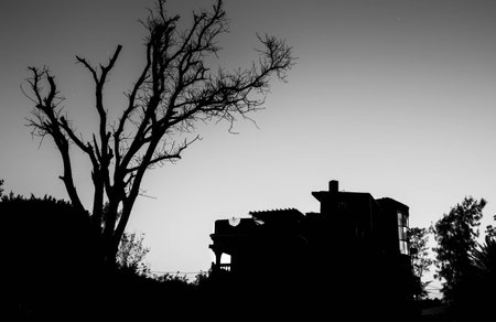 Silhouette of a house with dead tree in the background.の写真素材