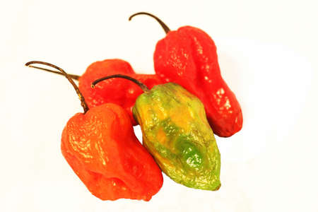 hot chilliesの写真素材