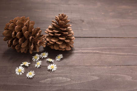 The arrangement of pine cones are on the wooden background. Space for your text and your design.