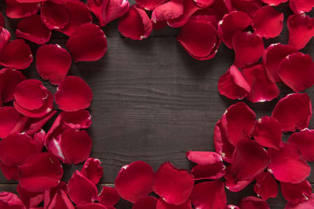 Beautiful red rose petals are on the wooden background.の写真素材