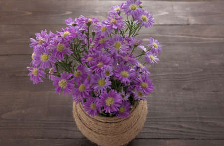 Purple cutter flowers in the jar, on the wooden background.の写真素材