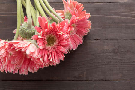 Pink gerbera flowers are on the wooden background.の写真素材