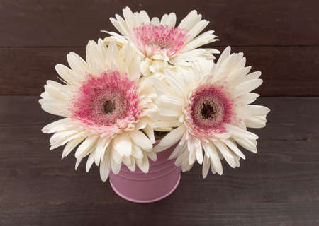 Pink and white gerbera flowers are in the flowerpot, on the wooden background.の写真素材