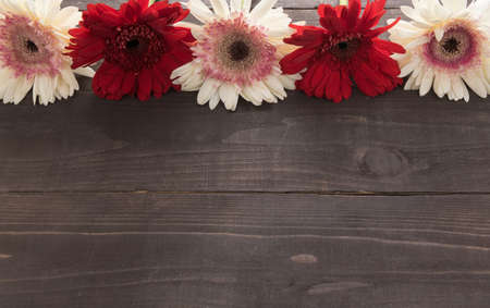 Pink and red gerbera flowers are in the wooden background.の写真素材