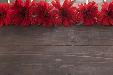 Red gerbera flowers are in the wooden background.の写真素材