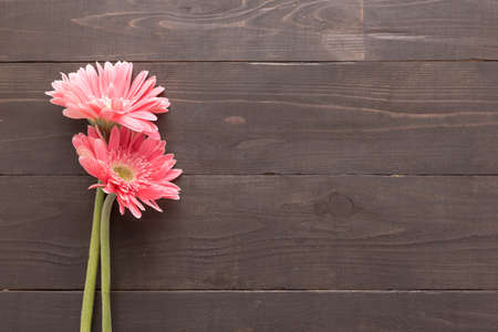Pink gerbera flower is on the wooden background.の写真素材