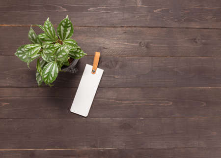 Tag and flowerpot are on the wooden background .の写真素材