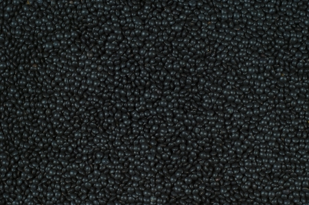 Close up of beluga-lentilsの写真素材