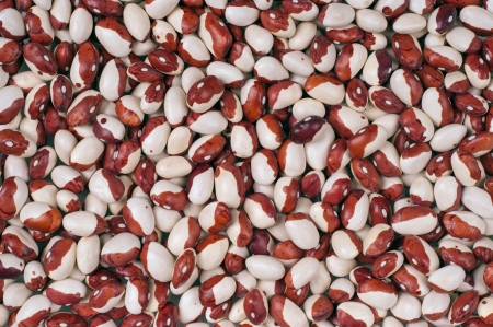 Close up of marble-beansの写真素材