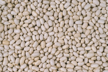 Close up of white-beansの写真素材