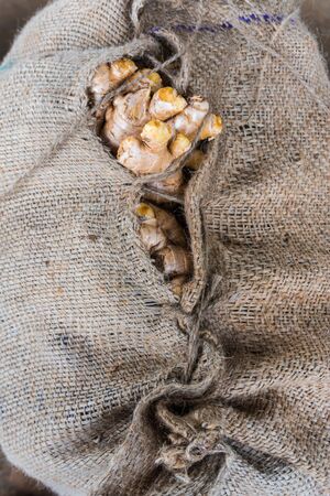 A harvest bag with gingerの写真素材