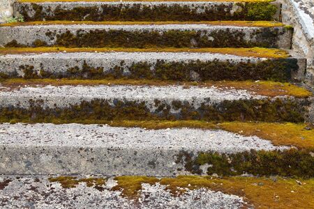 Overgrown and weathered stone steps ascending の写真素材