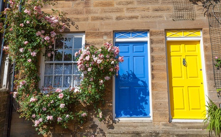 Terraced cottages with climbing roses on the front wallの写真素材