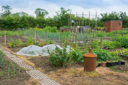Allotment scene with incineratorの写真素材