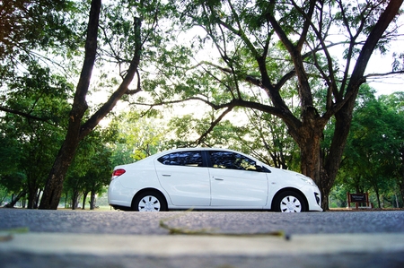 white car in the forestの写真素材