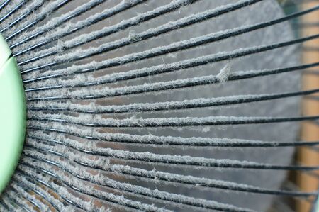 dust on fan