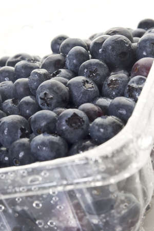 Blueberries in a plastic container against a white backgroundの写真素材