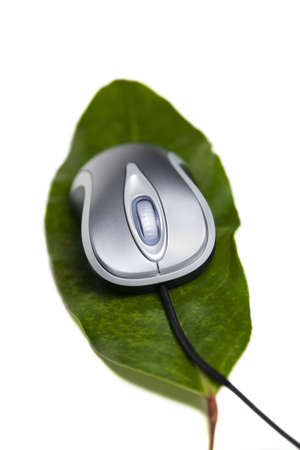 Metallic color computer mouse placed on a large green leaf.の写真素材