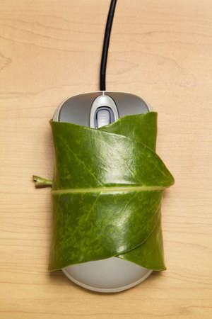 Computer mouse wrapped in a leafの写真素材
