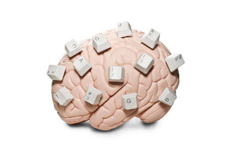 Human brain model with computer keys placed on it