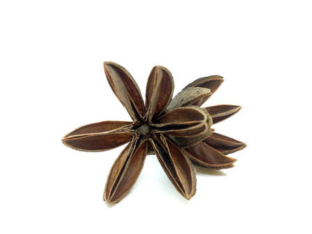 Dry anise stars isolated on white background  (anise, star, anis)
