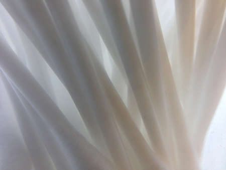 Close up of cotton buds