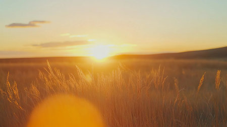 A tranquil prairie landscape during sunset, showcasing tall grasses gently swaying in the evening breeze, creating a serene and warm atmosphere.の素材