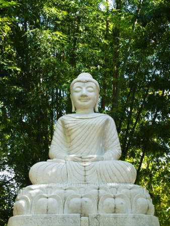 The white Buddha statue's in bamboo forestの写真素材