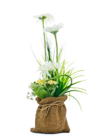 Artificial flower in small sack isolated on white backgroundの写真素材