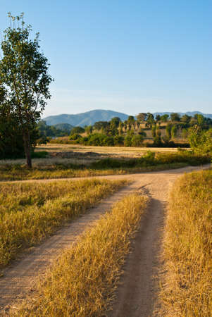 Trail to the village in the Northern of Thailandの写真素材
