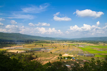 Land of agriculture in the Central of Thailandの写真素材
