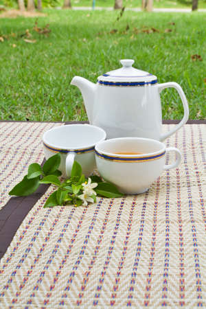 Cup of tea and teapot on the mat in the gardenの写真素材