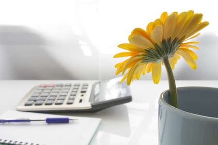 Yellow flower on business deskの写真素材