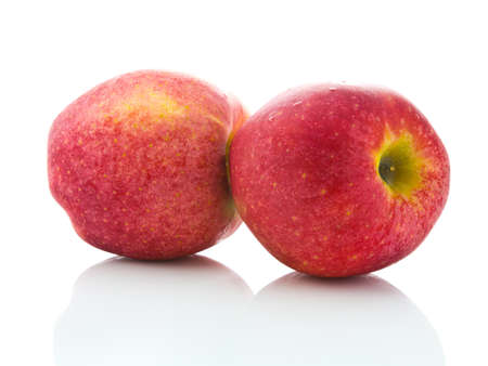 Two red applesの写真素材