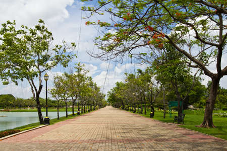 Street in the public park