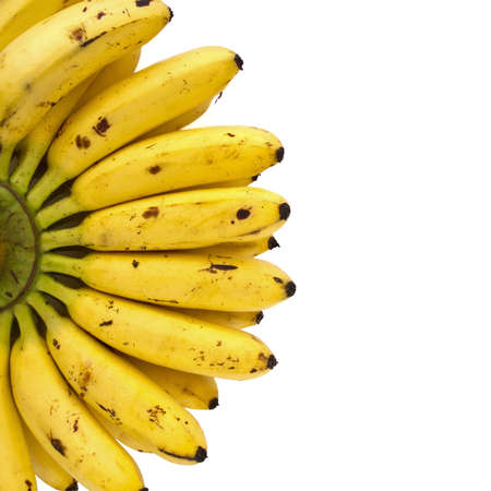 Bananaの写真素材