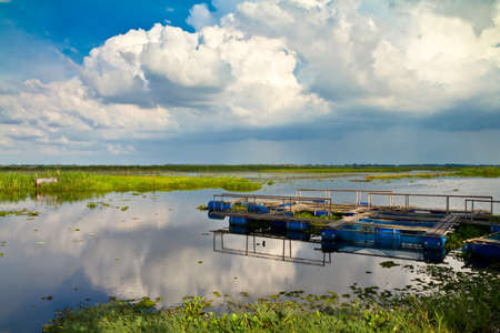 Fishery basket in wetland in Thailandの写真素材