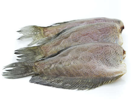 Dry gourami fish isolated on white backgroundの写真素材